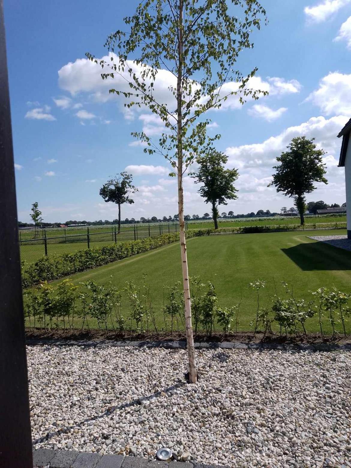 Ut Witte Huisje Venhorst 외부 사진